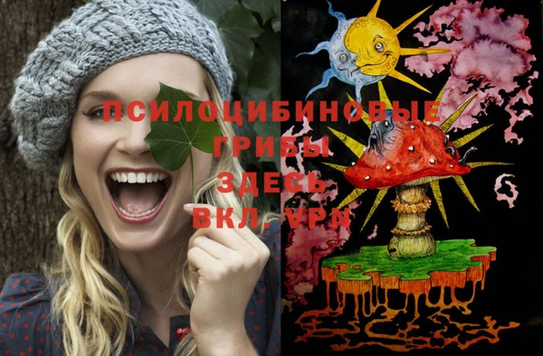 МДМА Новодвинск