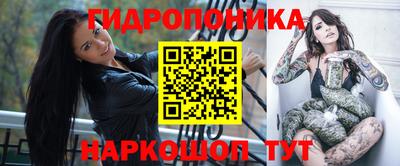 сатива Краснодар