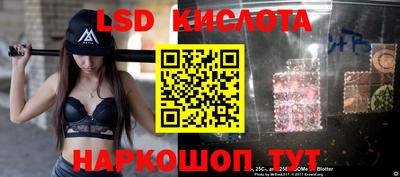 сатива Краснодар