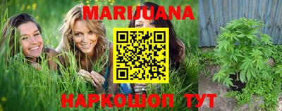 сатива Краснодар