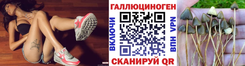 Псилоцибиновые грибы мицелий Куйбышев